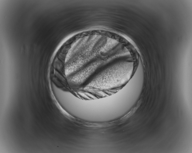 X0000086271438200704191915