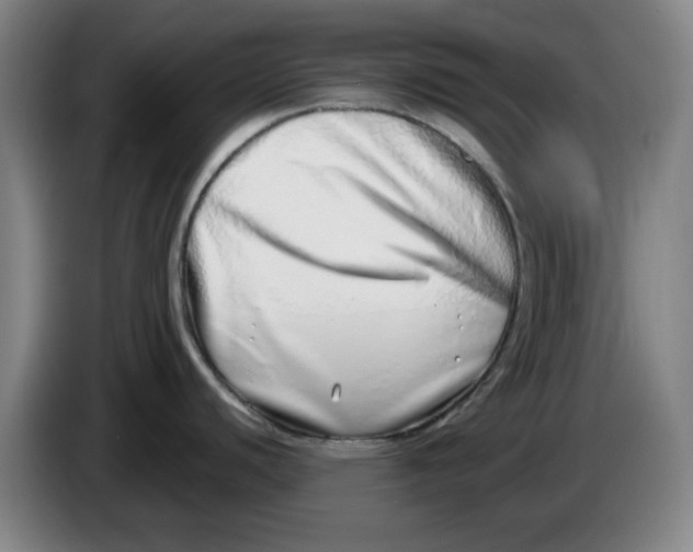 X0000086271440200704191915