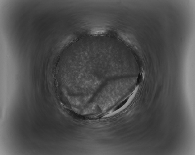 X0000086271441200704191915