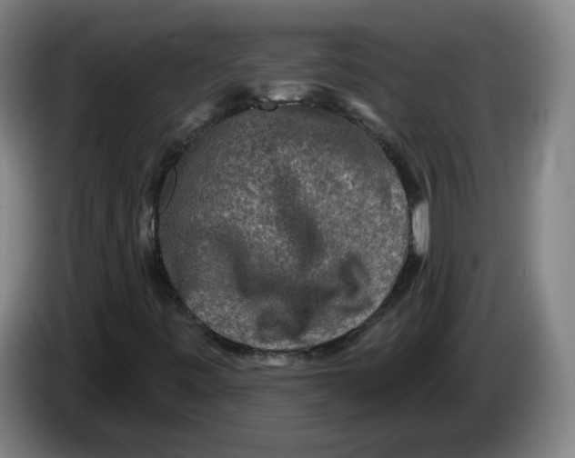 X0000086271443200704191915