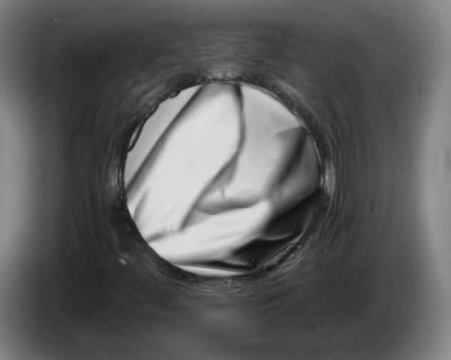 X0000086271444200704191915