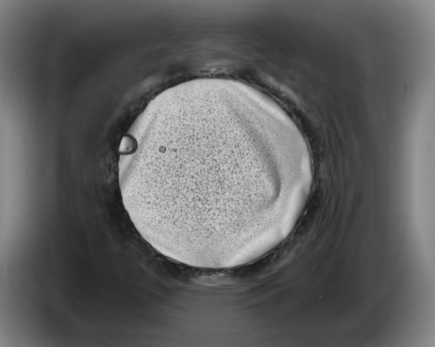 X0000086271447200704191915