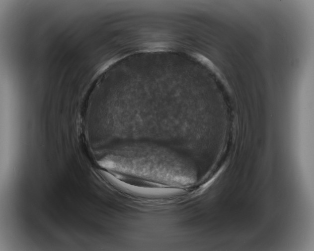 X0000086271449200704191915