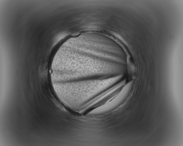 X0000086271450200704191915