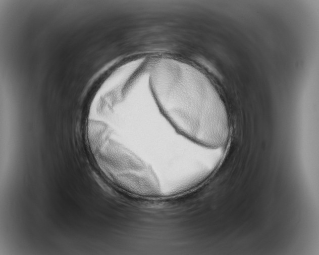 X0000086271452200704191915