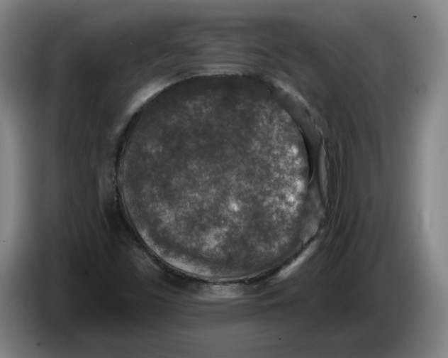 X0000086271453200704191915