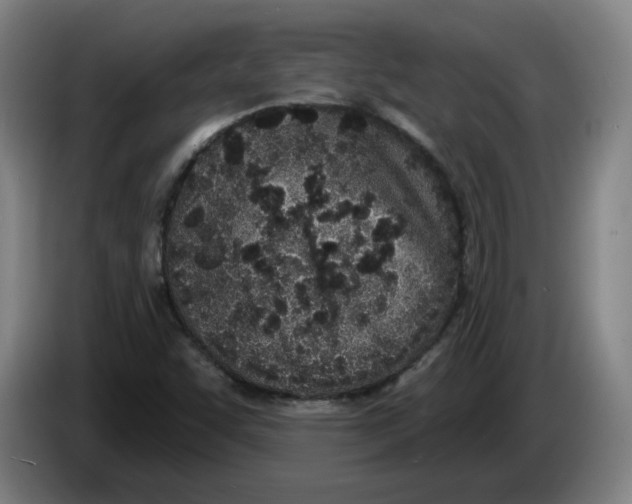 X0000086271455200704191914