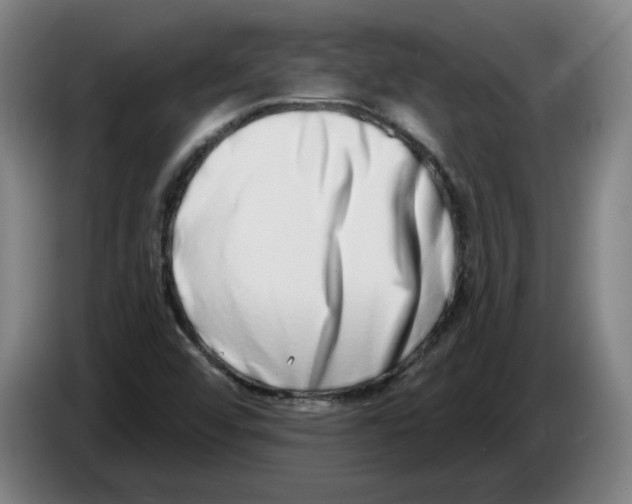 X0000086271456200704191914