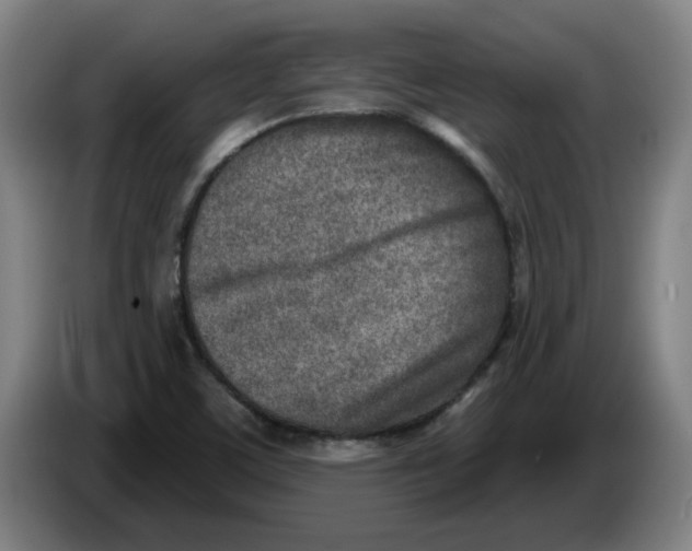 X0000086271459200704191914