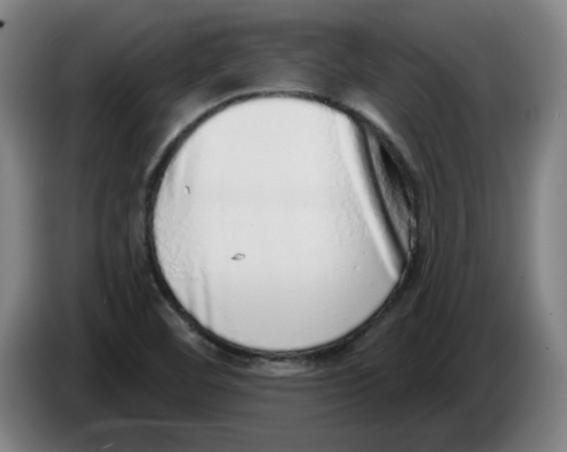 X0000086271460200704191914