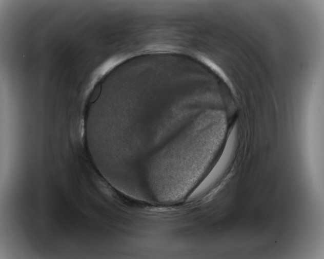 X0000086271461200704191914