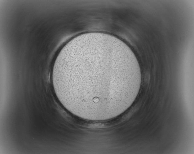 X0000086271462200704191914