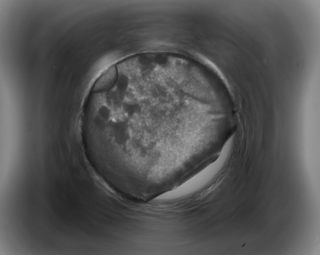 X0000086271463200704191914