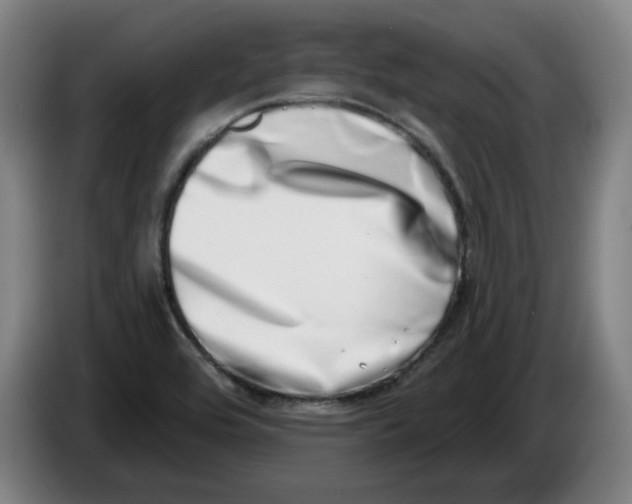 X0000086271464200704191914