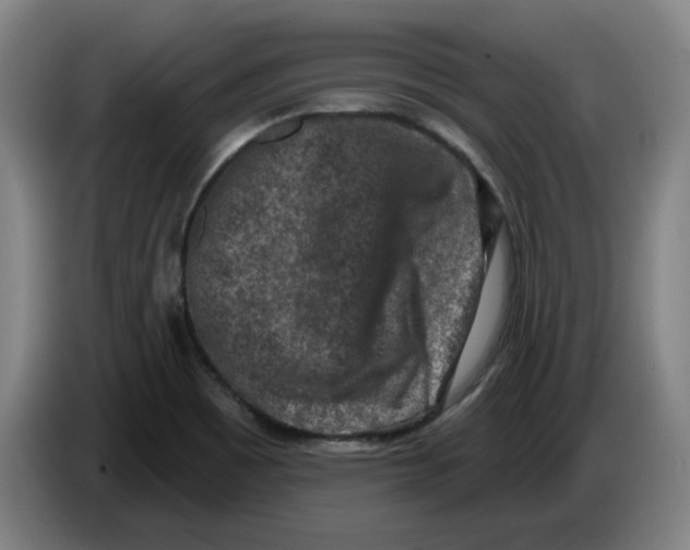 X0000086271465200704191914