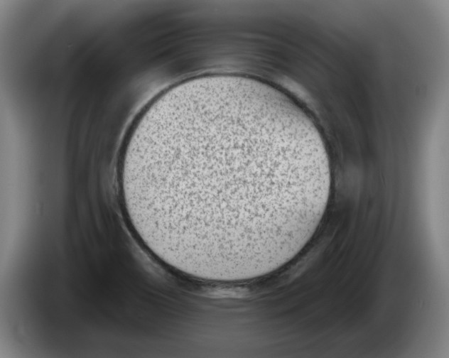 X0000086271466200704191914