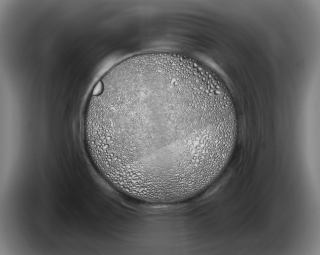 X0000086271467200704191914