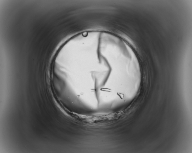 X0000086271468200704191914