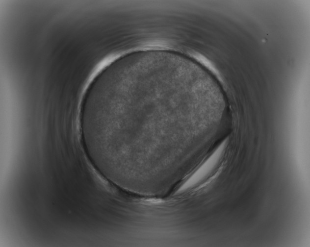 X0000086271469200704191914