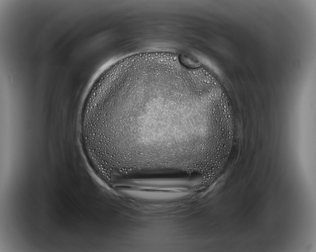 X0000086271471200704191914