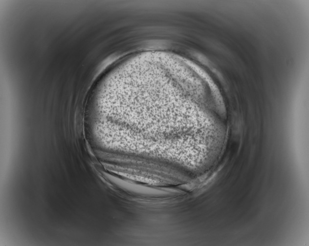 X0000086271473200704191914