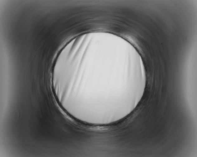 X0000086271476200704191914