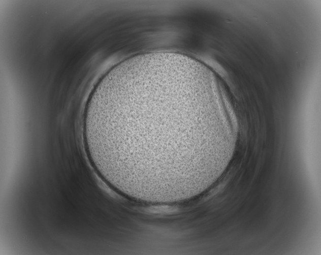 X0000086271478200704191914