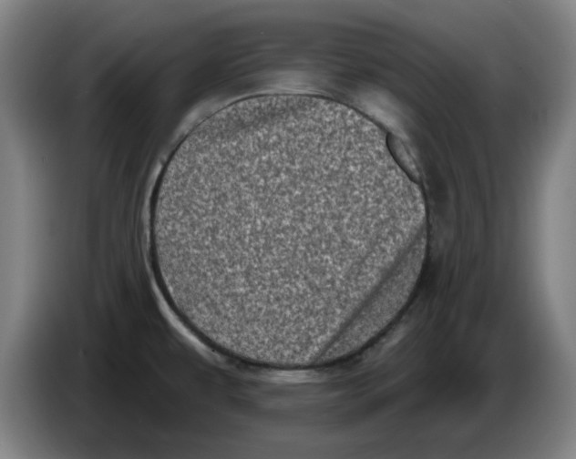 X0000086271479200704191914