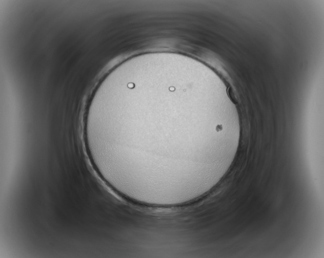 X0000086271480200704191914