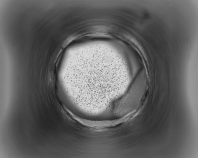 X0000086271481200704191914