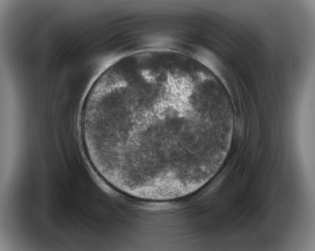 X0000086271482200704191914