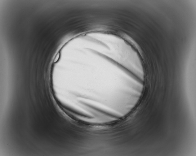 X0000086271483200704191914