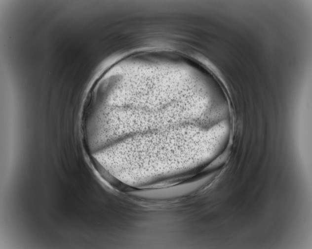 X0000086271485200704191914