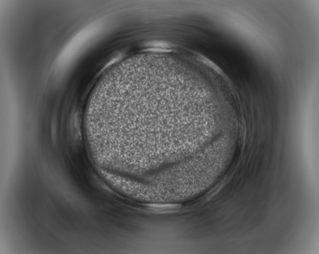 X0000086271487200704191914