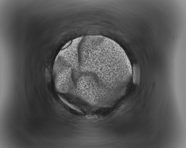 X0000086271491200704191913