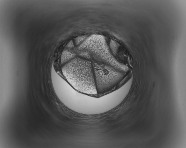 X0000086271492200704191913