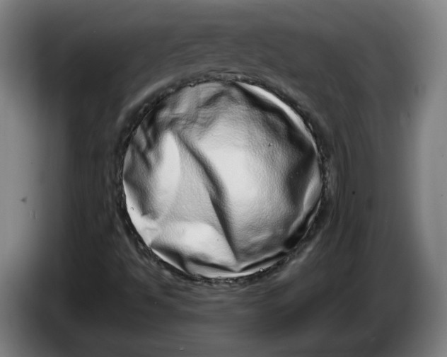 X0000086271494200704191913