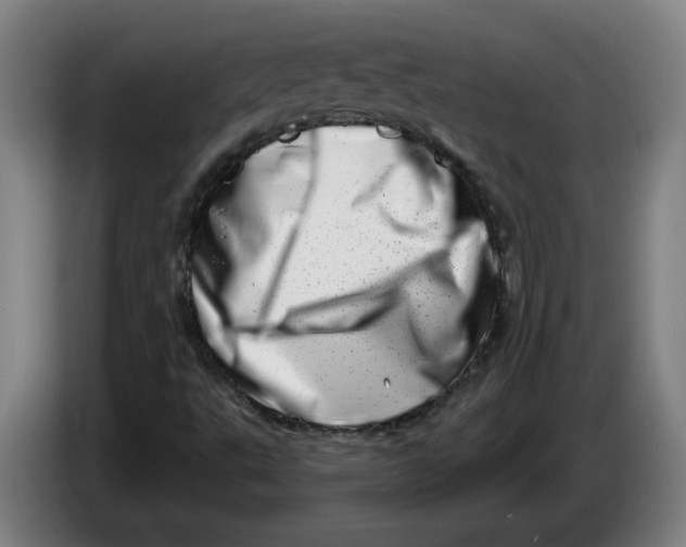 X0000086271495200704191913