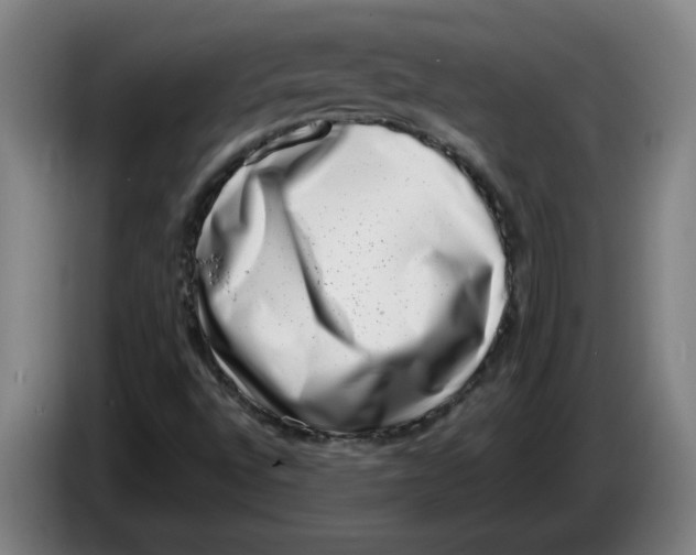 X0000086271496200704191913