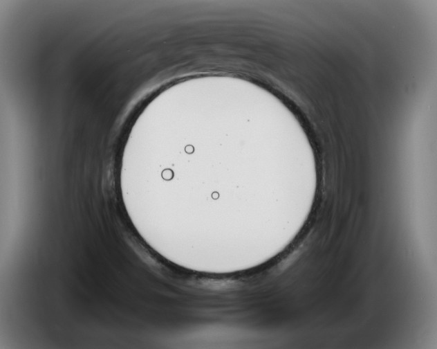 X0000086271498200704191913