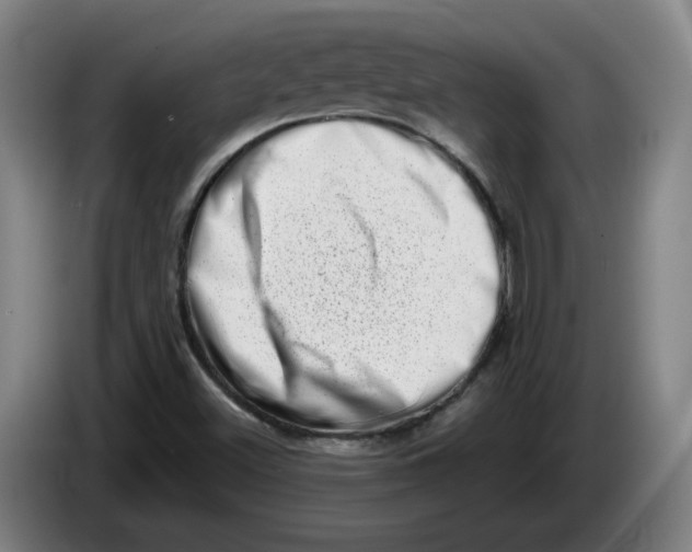 X0000086271500200704191914