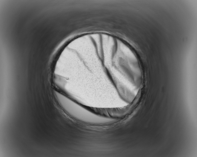 X0000086271502200704191914