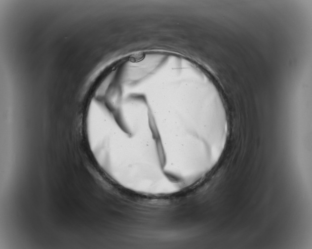 X0000086271503200704191914