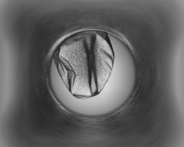 X0000086271504200704191914