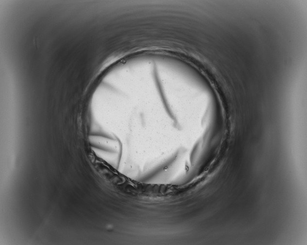 X0000086271505200704191914