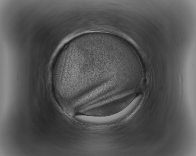 X0000086271506200704191914