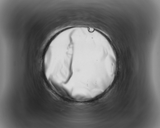 X0000086271507200704191914