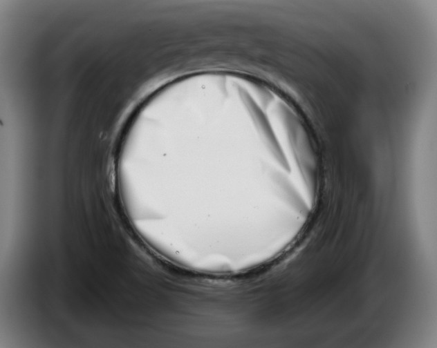 X0000086271509200704191914