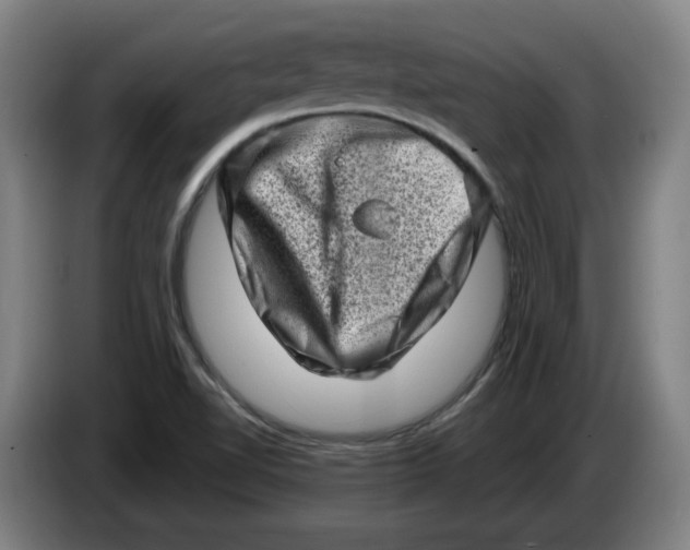 X0000086271510200704191914