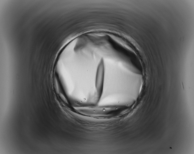 X0000086271513200704191914